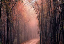 万众瞩目！记者挤满国足赛前新闻发布厅，赛场记者预计超300人.