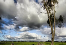 亿万28：曾传内马尔与巴西足协主席关系不好，大罗：我想向内马尔道歉.