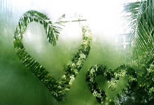 37岁三冠后卫正式宣布退役 结束15年NBA生涯.