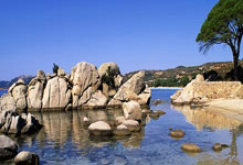 [棋牌]朱锦尔获得国际棋联女子大奖赛尼科西亚站亚军.